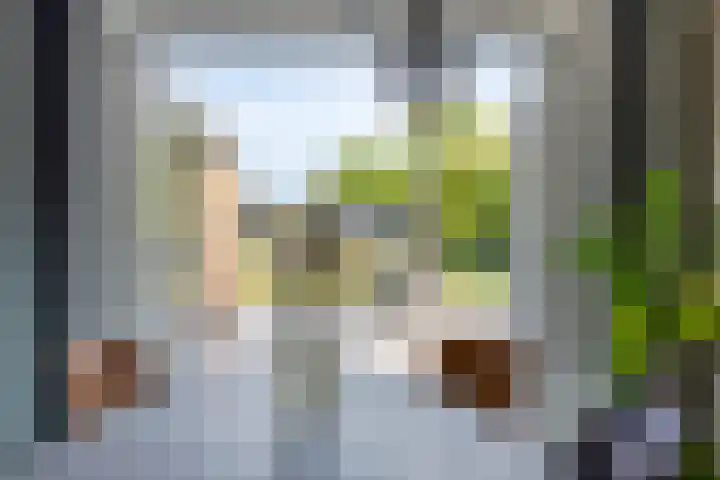 Kantstraat 8 Sint Joost thumbnail 10