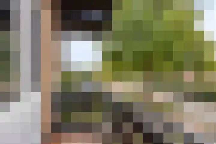 Kantstraat 8 Sint Joost thumbnail 15