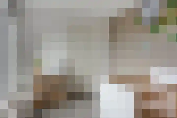 Kantstraat 8 Sint Joost thumbnail 20