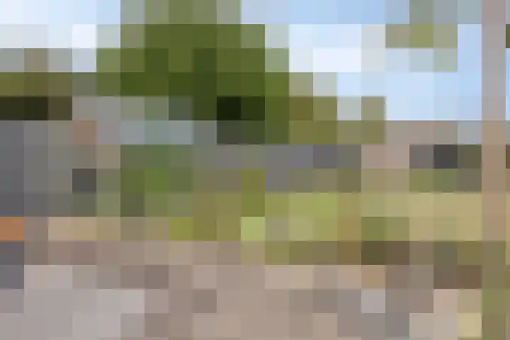 Kantstraat 8 Sint Joost thumbnail 31