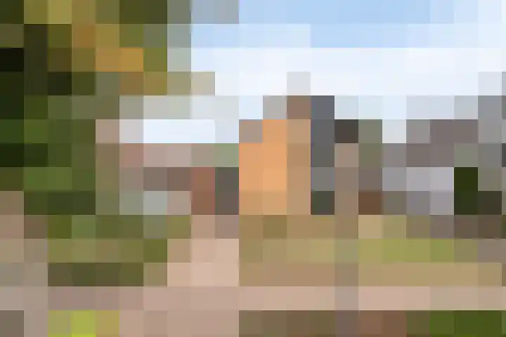 Kantstraat 8 Sint Joost thumbnail 35