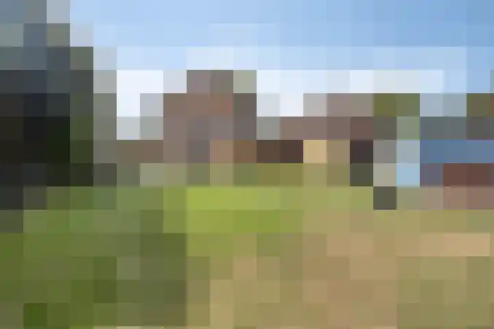 Kantstraat 8 Sint Joost thumbnail 39