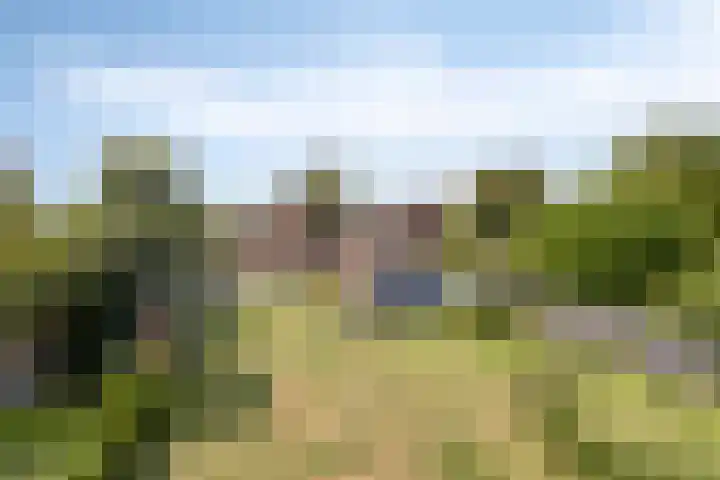 Kantstraat 8 Sint Joost thumbnail 4