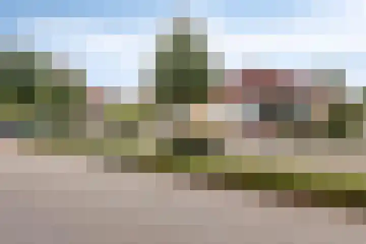 Kantstraat 8 Sint Joost thumbnail 42