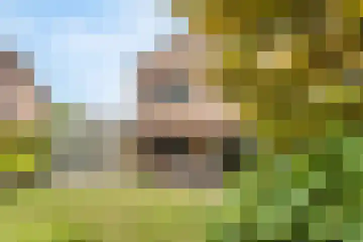 Kantwerkerwei 19 Valkenswaard thumbnail 28