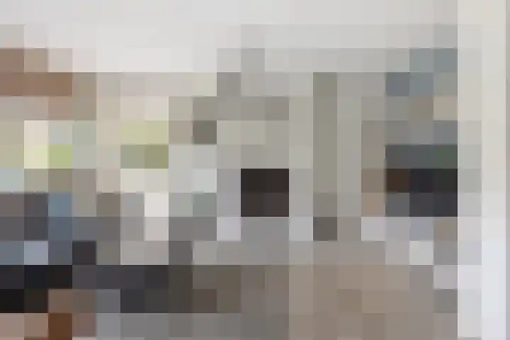 Kantwerkerwei 19 Valkenswaard thumbnail 5