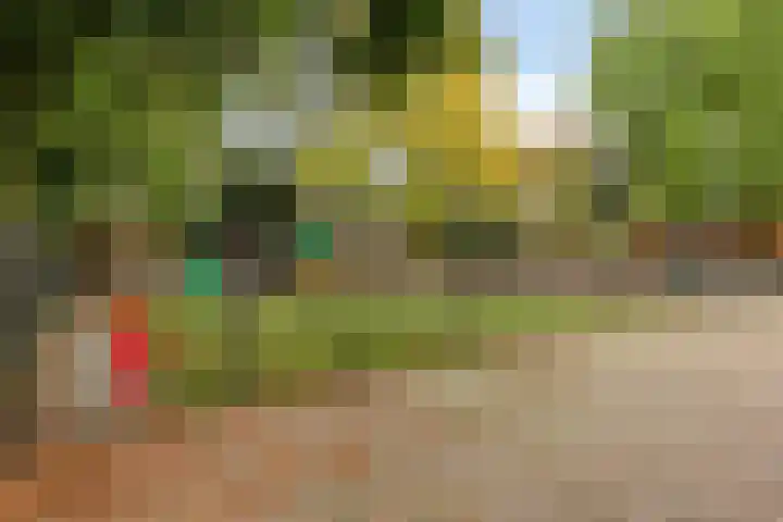 Kantwerkerwei 24 Valkenswaard thumbnail 29