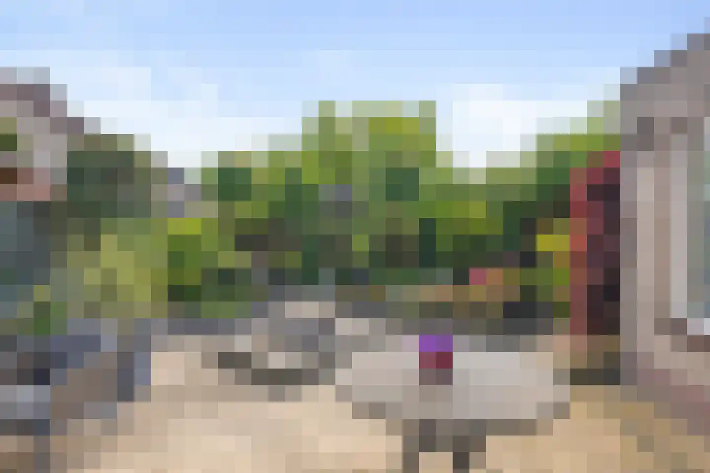 Kantwerkerwei 3 Valkenswaard thumbnail 30