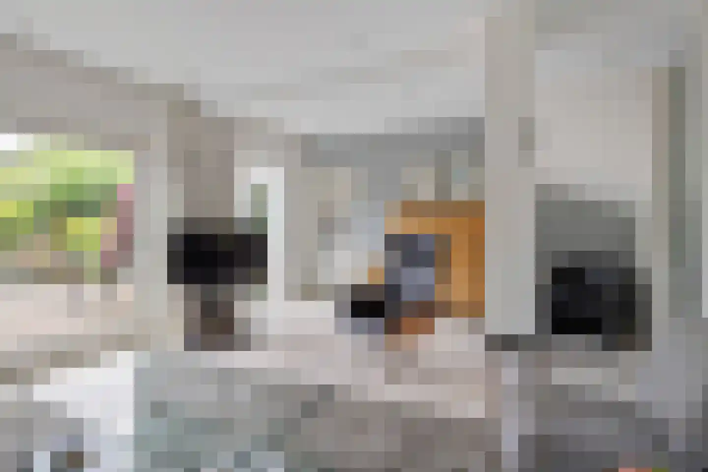 Kantwerkerwei 3 Valkenswaard thumbnail 6