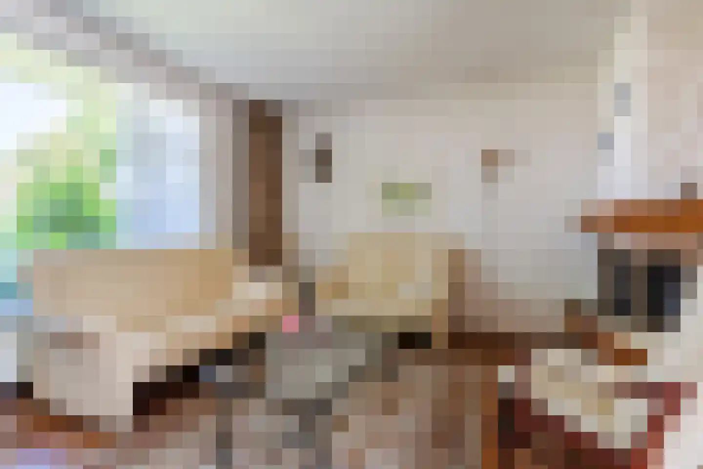 Kanunnik Daemenstraat 11 Mierlo thumbnail 10