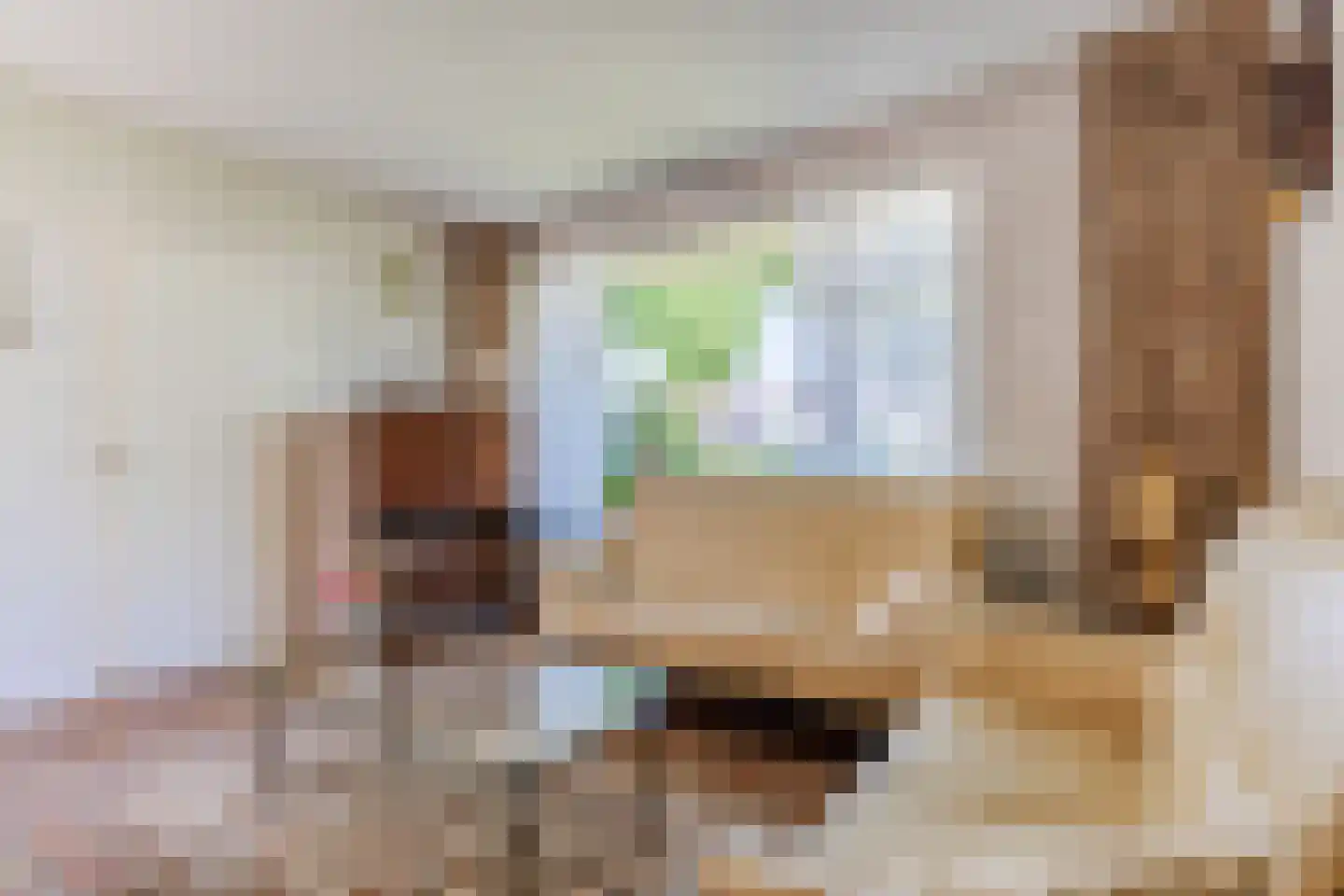 Kanunnik Daemenstraat 11 Mierlo thumbnail 11
