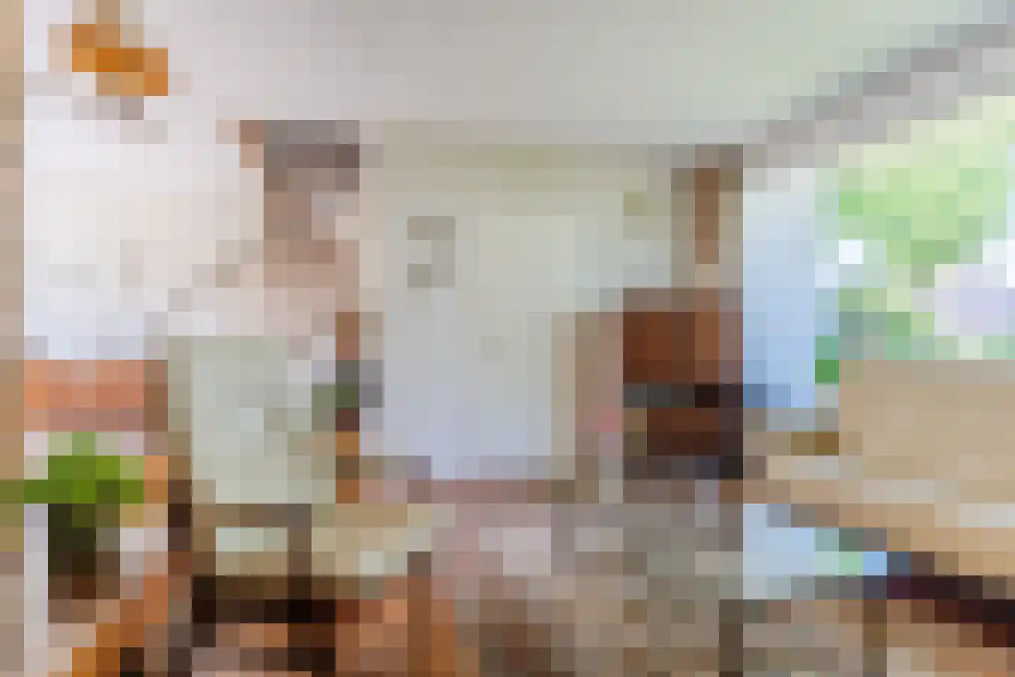 Kanunnik Daemenstraat 11 Mierlo thumbnail 12