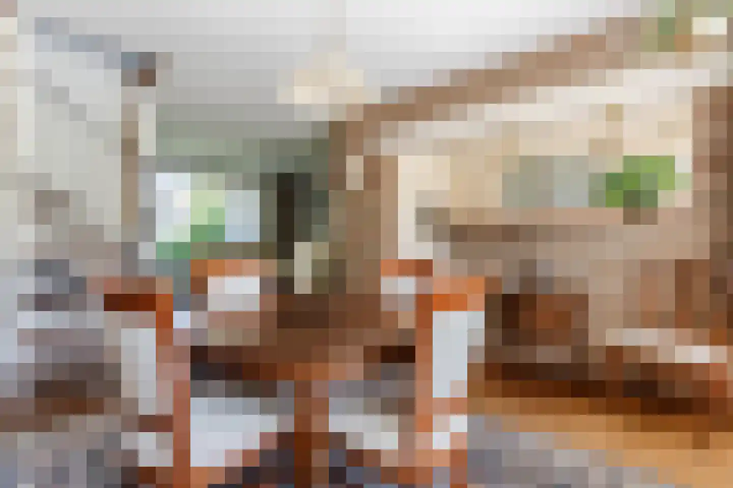 Kanunnik Daemenstraat 11 Mierlo thumbnail 17