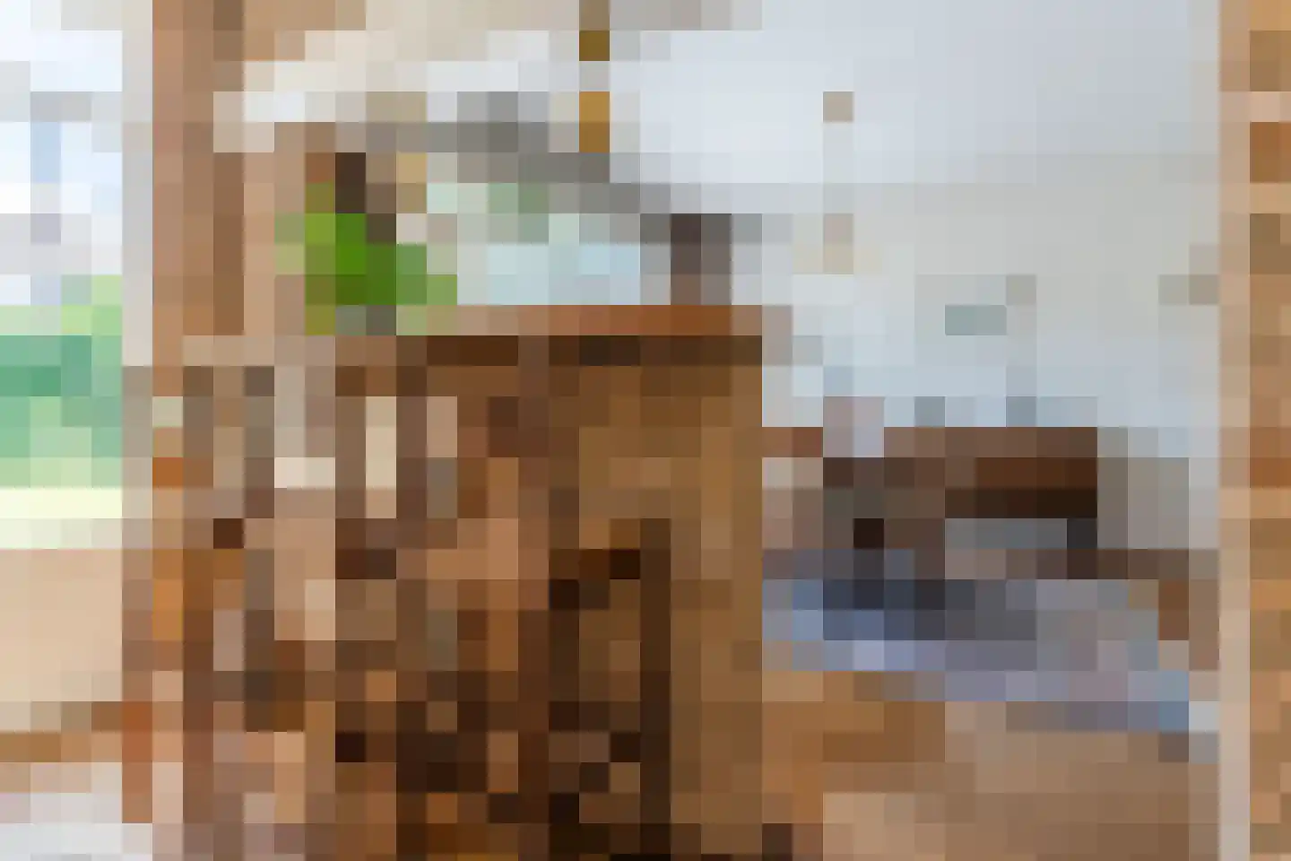 Kanunnik Daemenstraat 11 Mierlo thumbnail 20