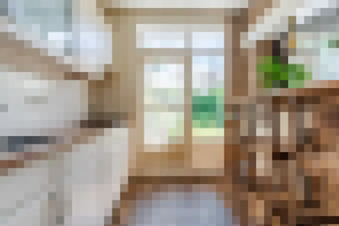 Kanunnik Daemenstraat 11 Mierlo thumbnail 21