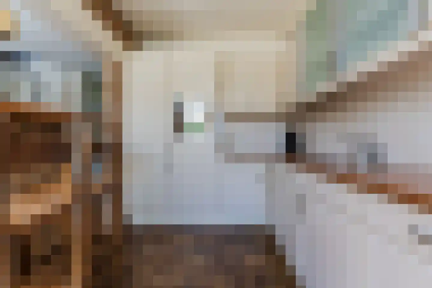 Kanunnik Daemenstraat 11 Mierlo thumbnail 22