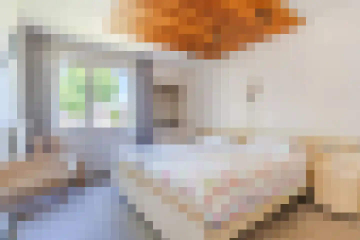 Kanunnik Daemenstraat 11 Mierlo thumbnail 33