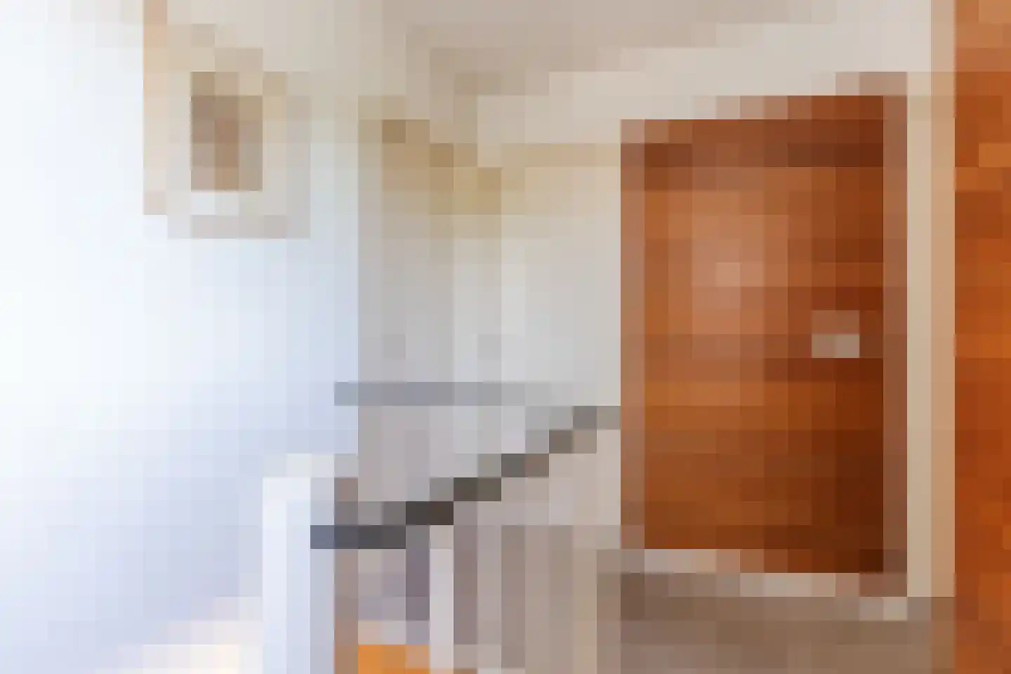 Kanunnik Daemenstraat 11 Mierlo thumbnail 43