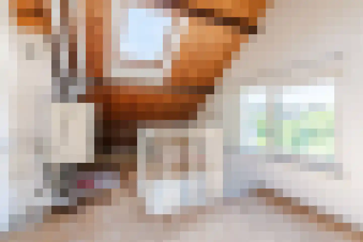 Kanunnik Daemenstraat 11 Mierlo thumbnail 53