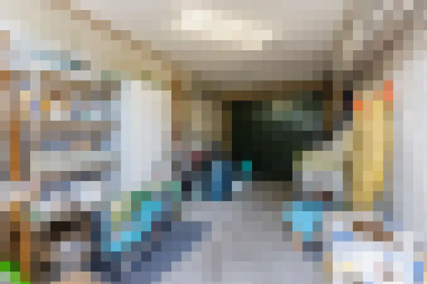 Kanunnik Daemenstraat 11 Mierlo thumbnail 59
