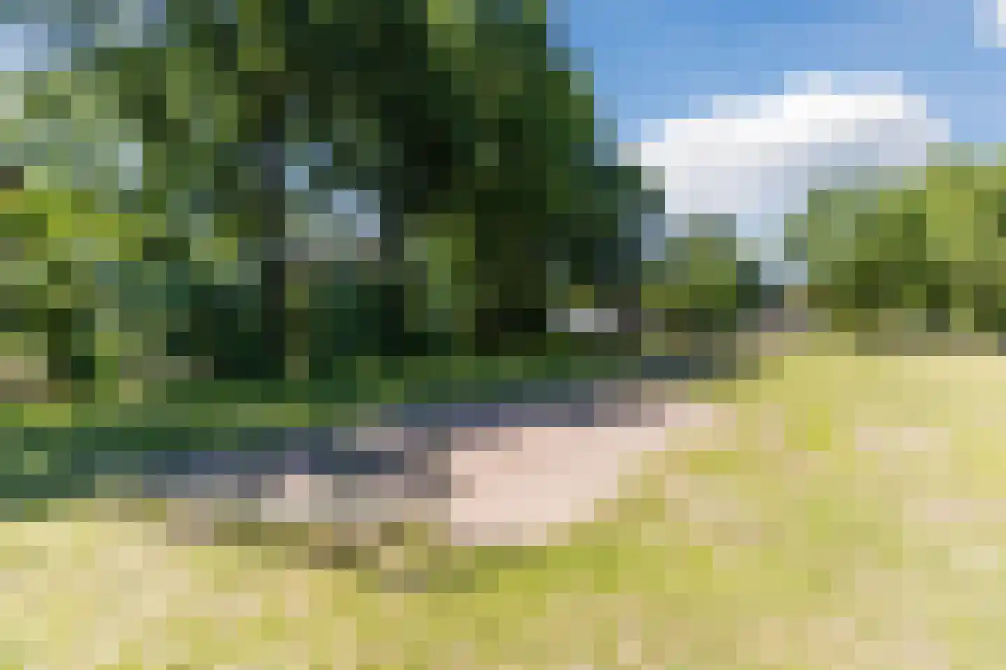 Kanunnik Daemenstraat 11 Mierlo thumbnail 69