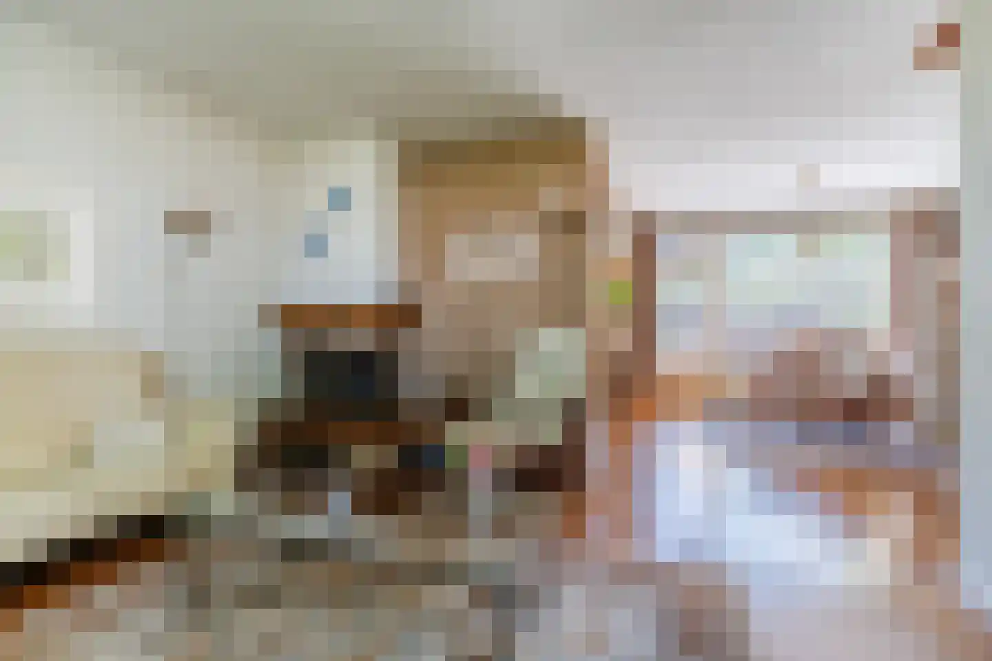 Kanunnik Daemenstraat 11 Mierlo thumbnail 7