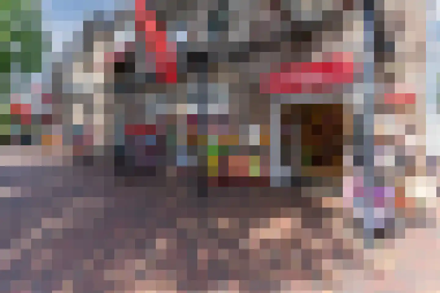 Kanunnik Daemenstraat 11 Mierlo thumbnail 71