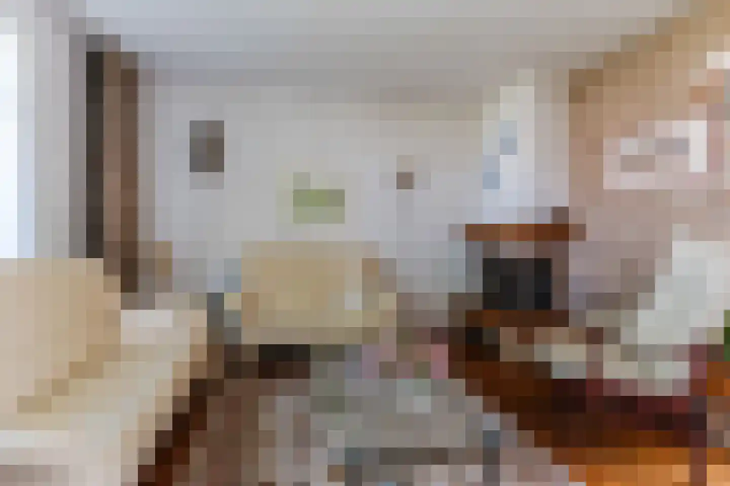 Kanunnik Daemenstraat 11 Mierlo thumbnail 8