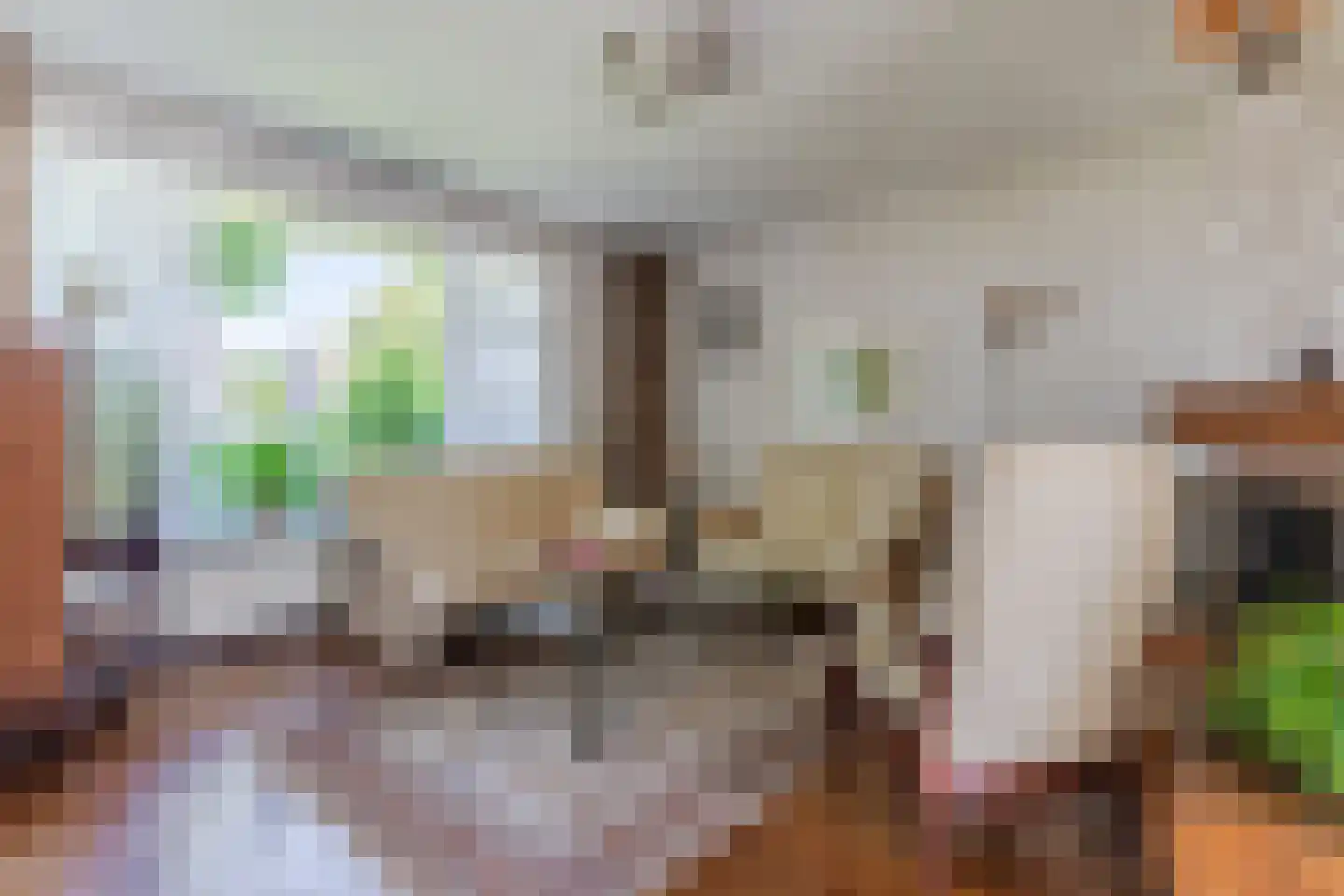 Kanunnik Daemenstraat 11 Mierlo thumbnail 9