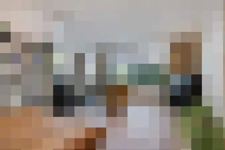 Kanunnik Daemenstraat 19 Mierlo thumbnail 12