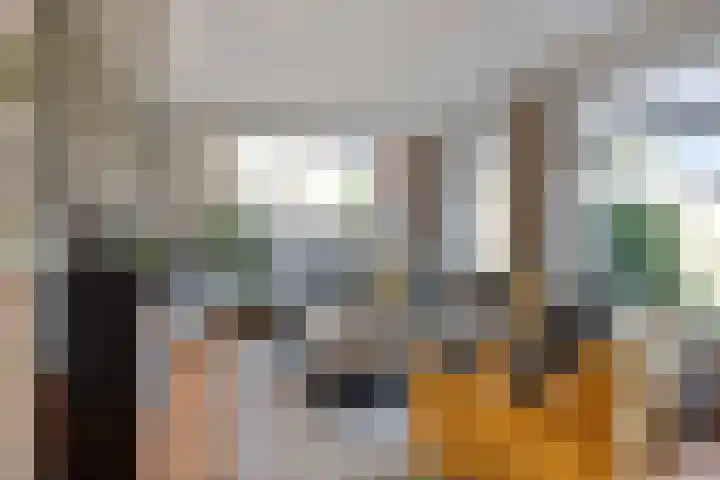 Kanunnik Daemenstraat 19 Mierlo thumbnail 13