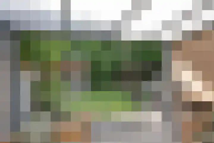 Kanunnik Daemenstraat 19 Mierlo thumbnail 17