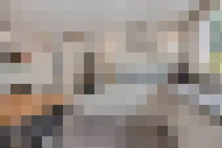 Kanunnik Daemenstraat 19 Mierlo thumbnail 21