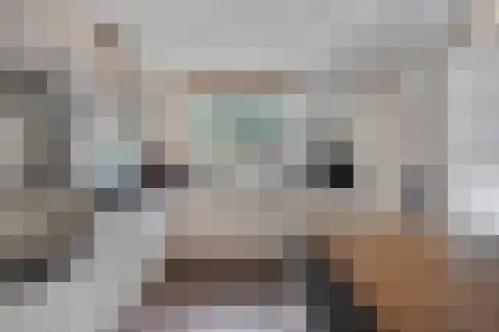 Kanunnik Daemenstraat 19 Mierlo thumbnail 22