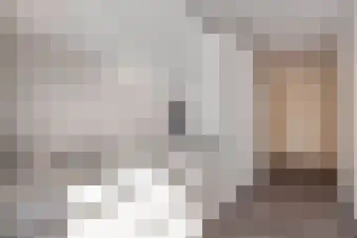 Kanunnik Daemenstraat 19 Mierlo thumbnail 23