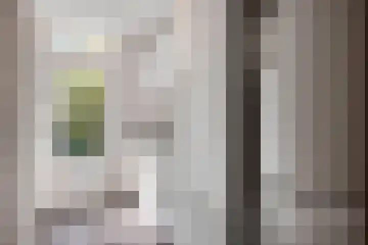 Kanunnik Daemenstraat 19 Mierlo thumbnail 24
