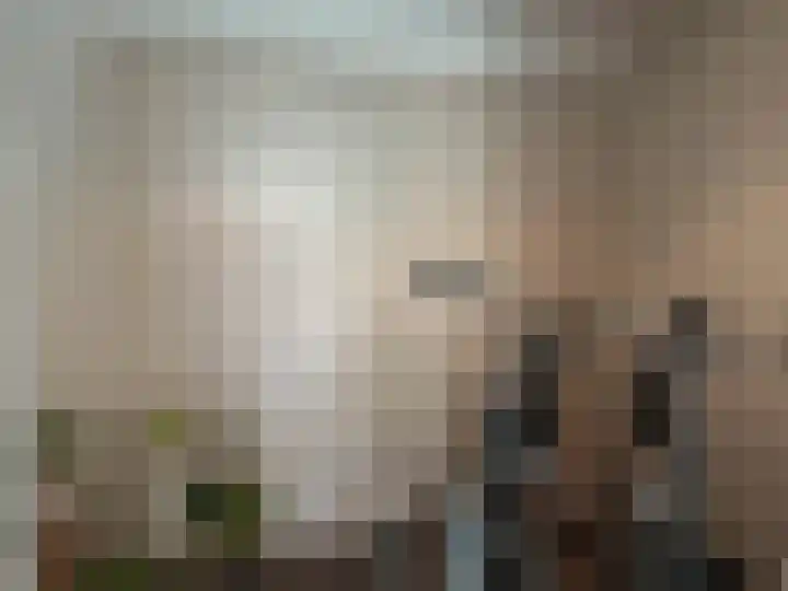 Kanunnik Daemenstraat 19 Mierlo thumbnail 25