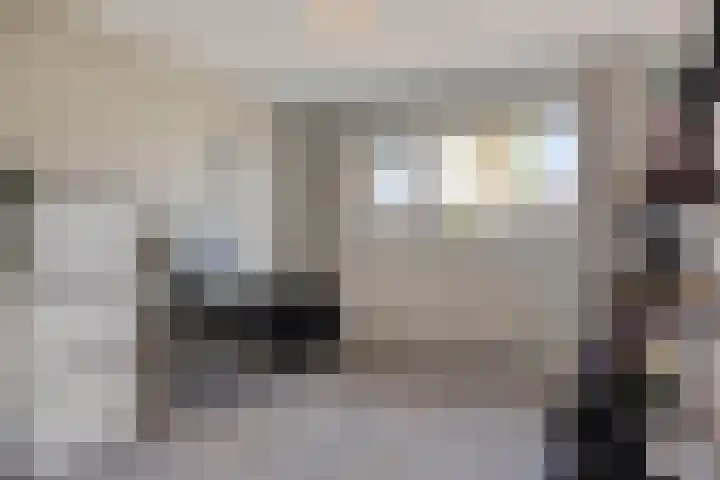 Kanunnik Daemenstraat 19 Mierlo thumbnail 32