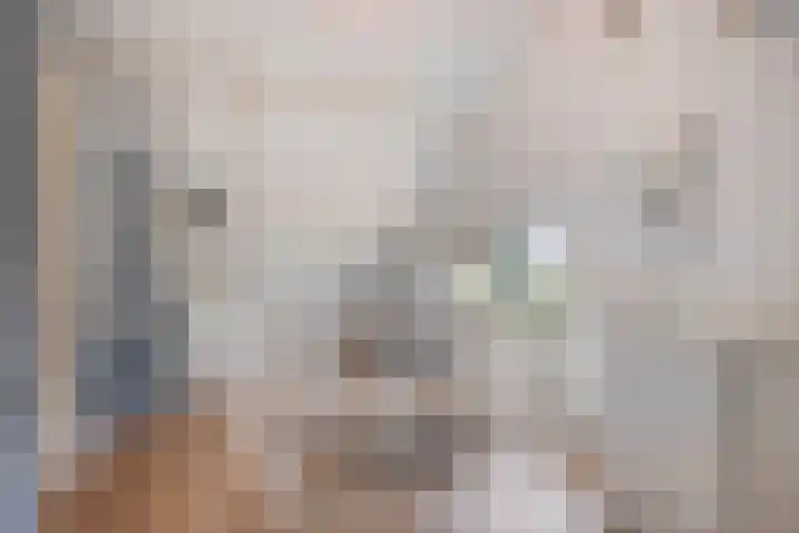 Kanunnik Daemenstraat 19 Mierlo thumbnail 37