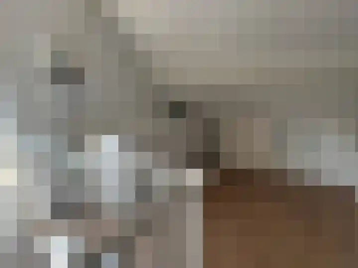 Kanunnik Daemenstraat 19 Mierlo thumbnail 38