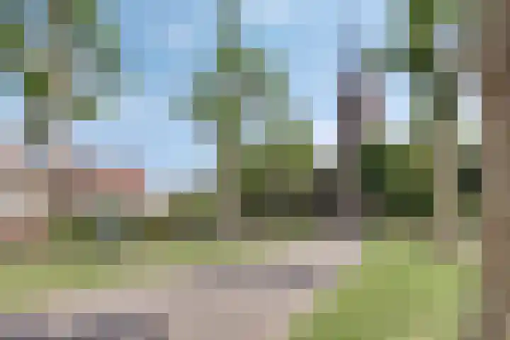Kanunnik Daemenstraat 19 Mierlo thumbnail 49