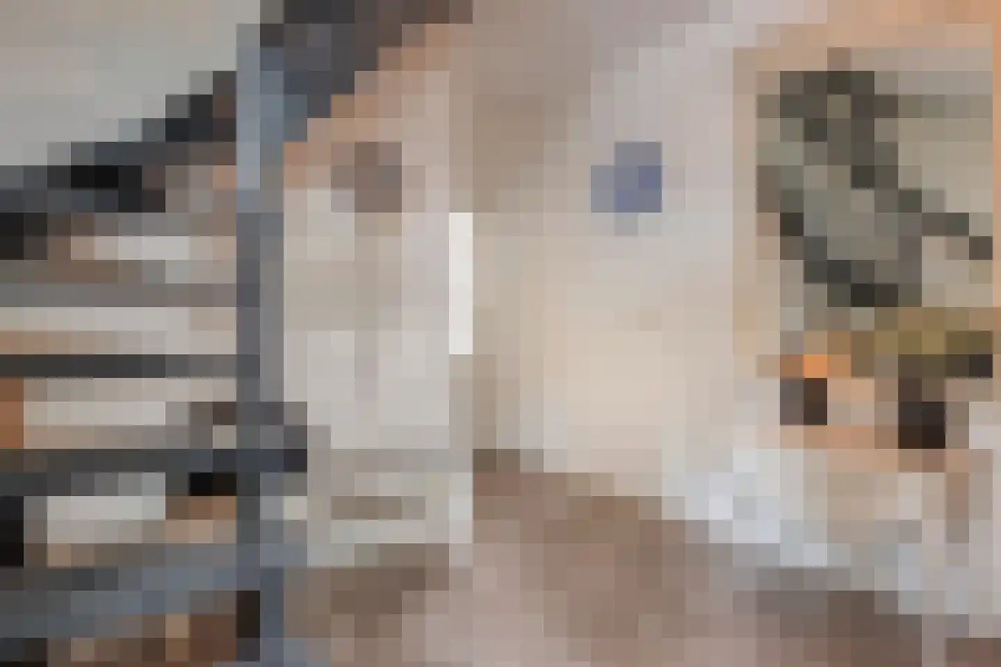 Kanunnik Daemenstraat 20 Mierlo thumbnail 10
