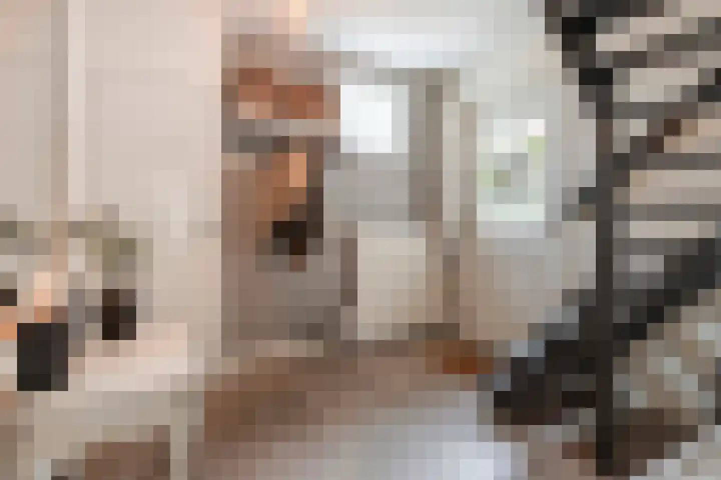 Kanunnik Daemenstraat 20 Mierlo thumbnail 11