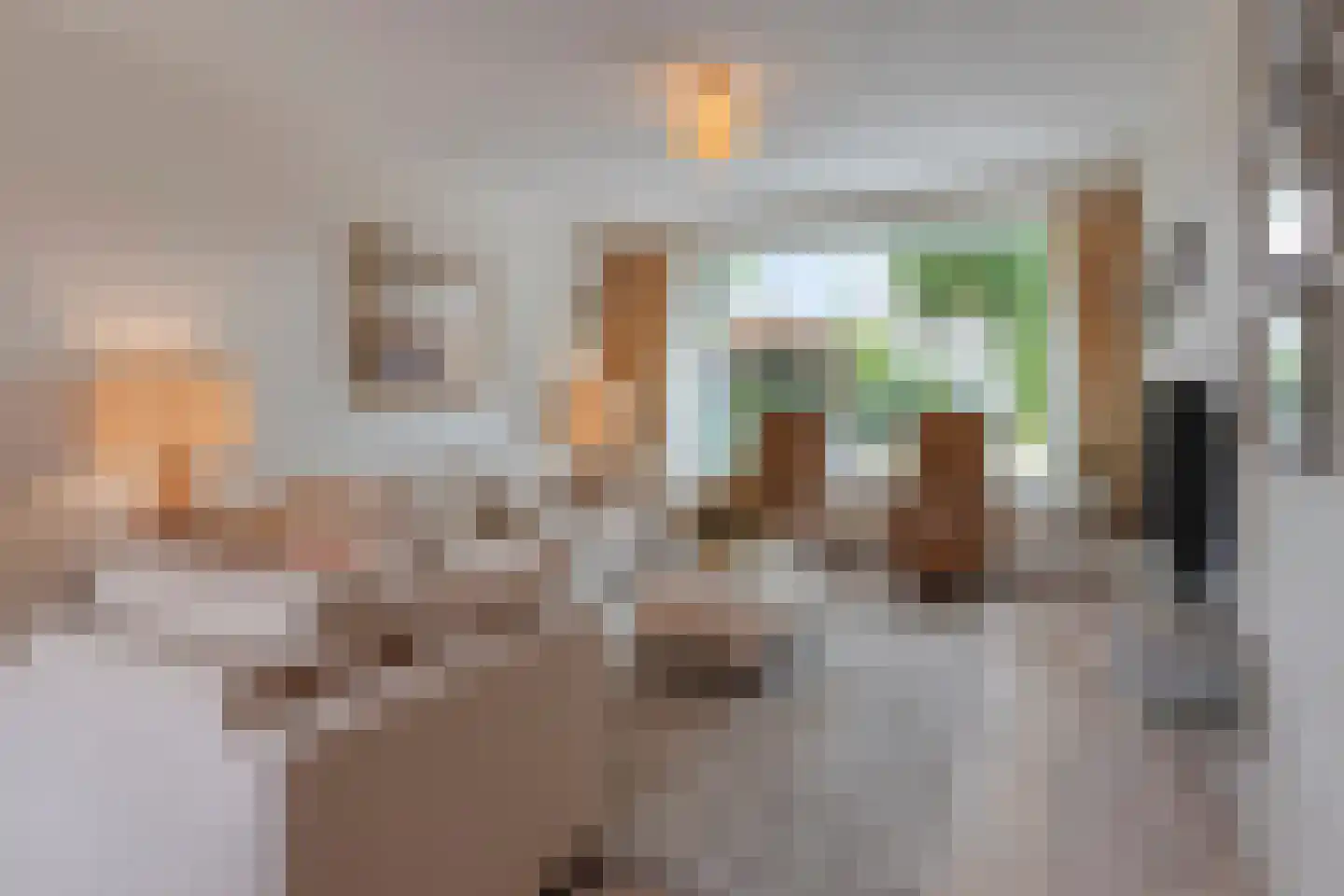 Kanunnik Daemenstraat 20 Mierlo thumbnail 14