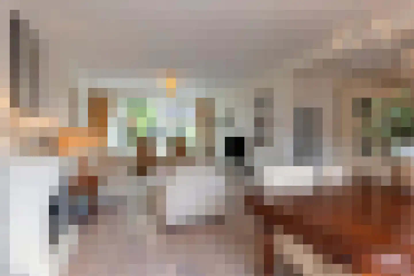 Kanunnik Daemenstraat 20 Mierlo thumbnail 17