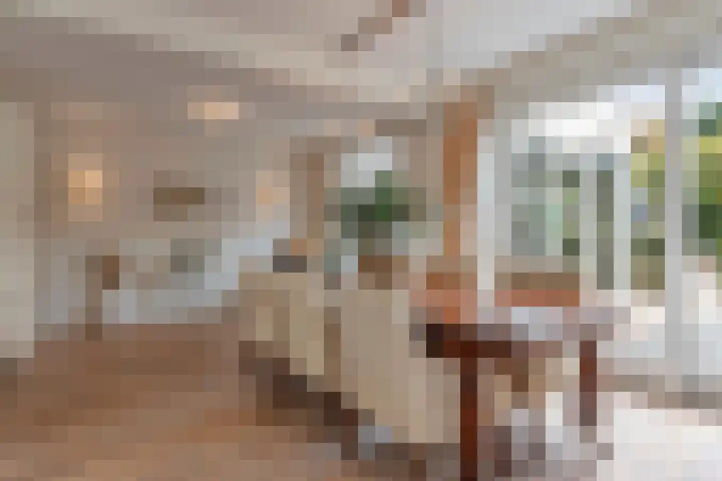 Kanunnik Daemenstraat 20 Mierlo thumbnail 18
