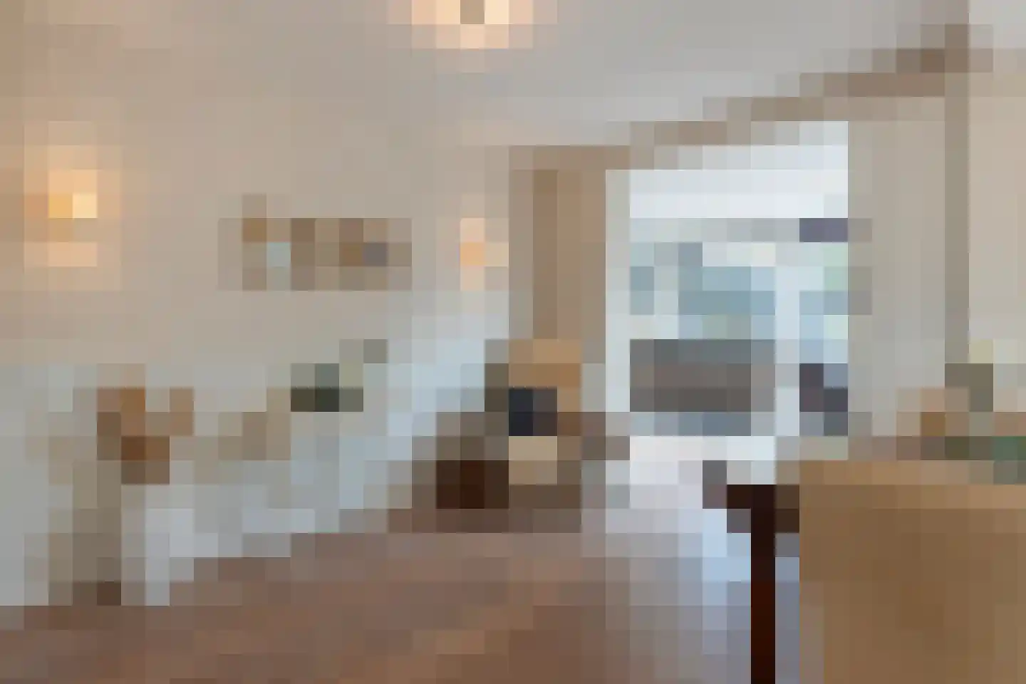 Kanunnik Daemenstraat 20 Mierlo thumbnail 19