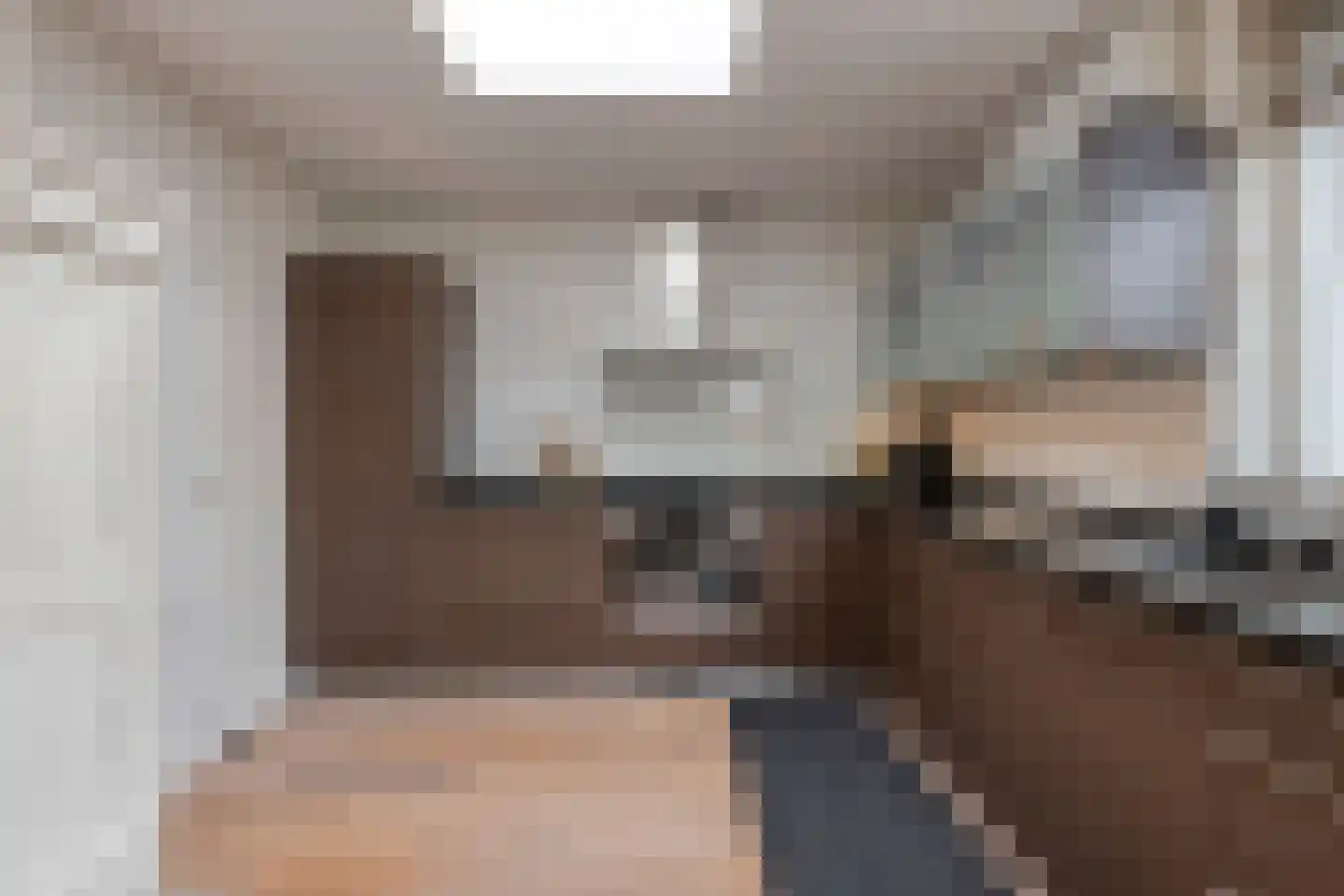 Kanunnik Daemenstraat 20 Mierlo thumbnail 22