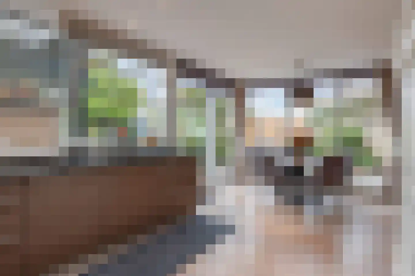 Kanunnik Daemenstraat 20 Mierlo thumbnail 23