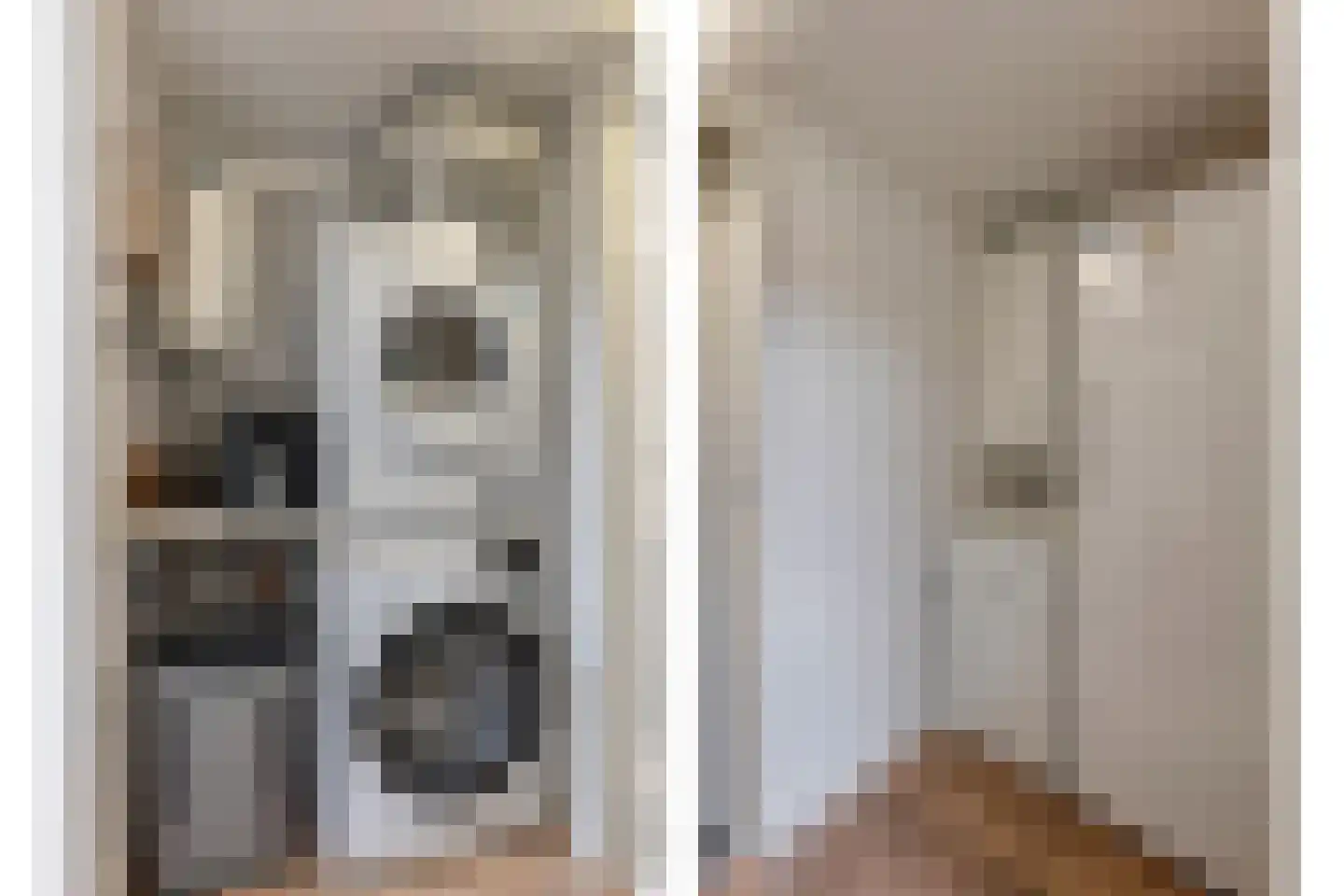 Kanunnik Daemenstraat 20 Mierlo thumbnail 24